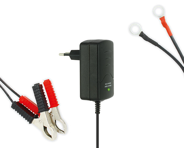 Carica-Batterie-Moto/Scooter