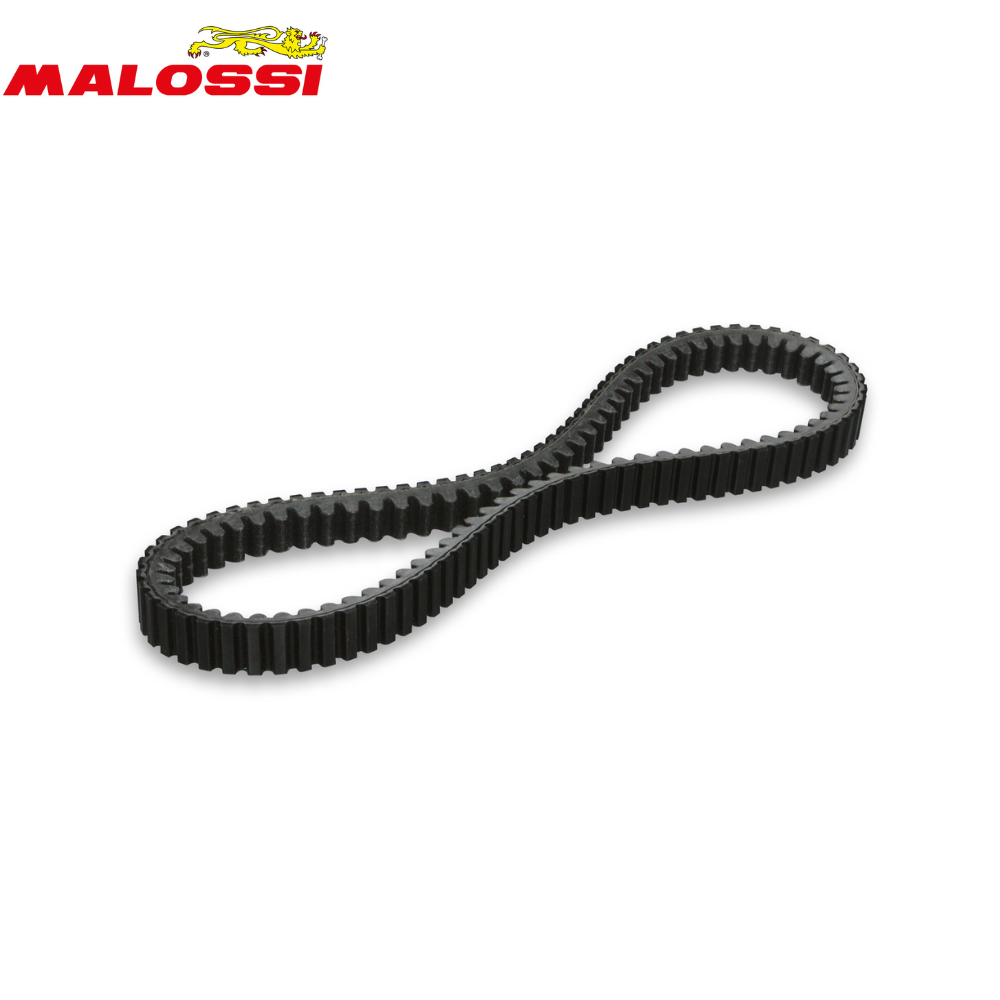 Cinghia Trasmissione Malossi Honda 350