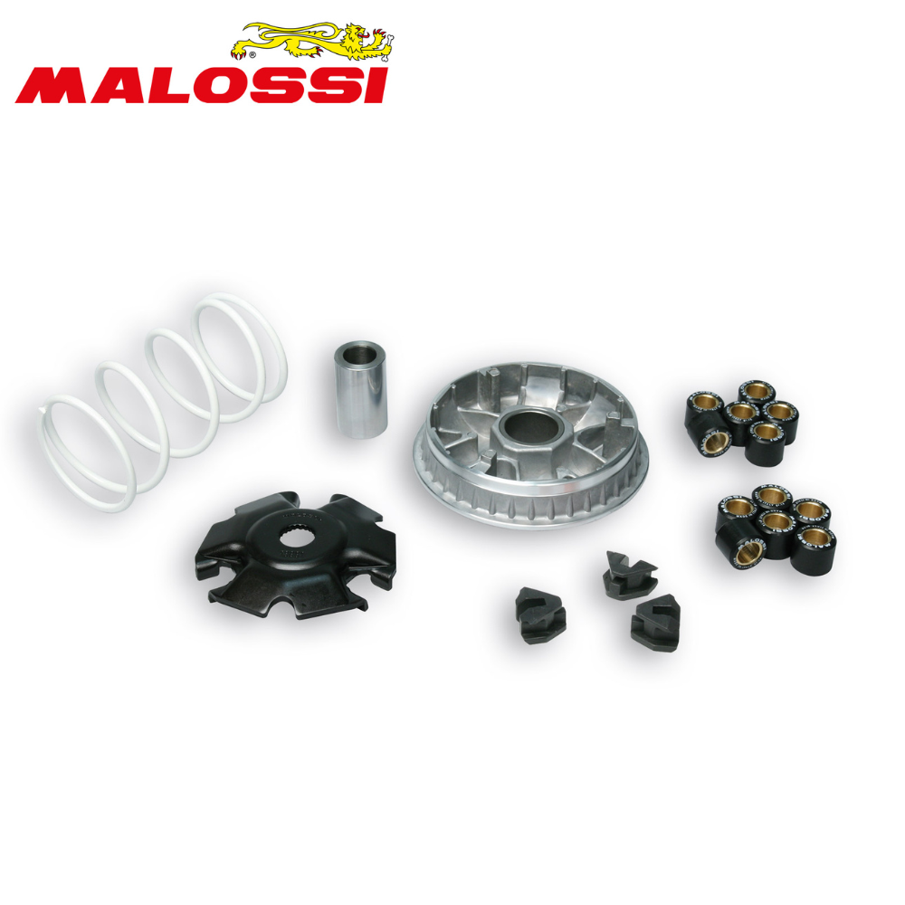 Variatore Malossi Multivar 2000 Piaggio Vespa GTS/GTV 300 